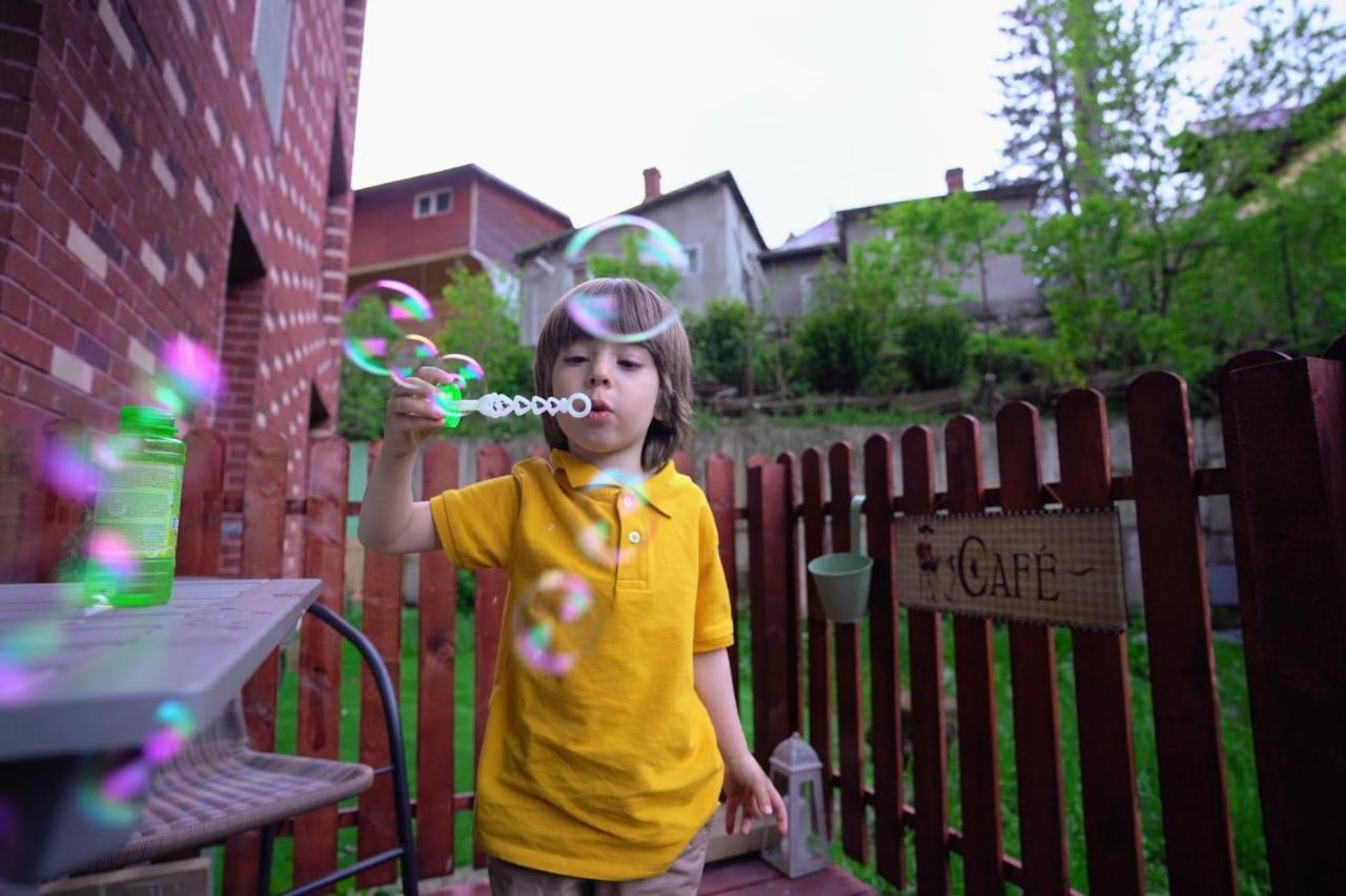 Bubbles Studio Sinaia With Terrace Buitenkant foto