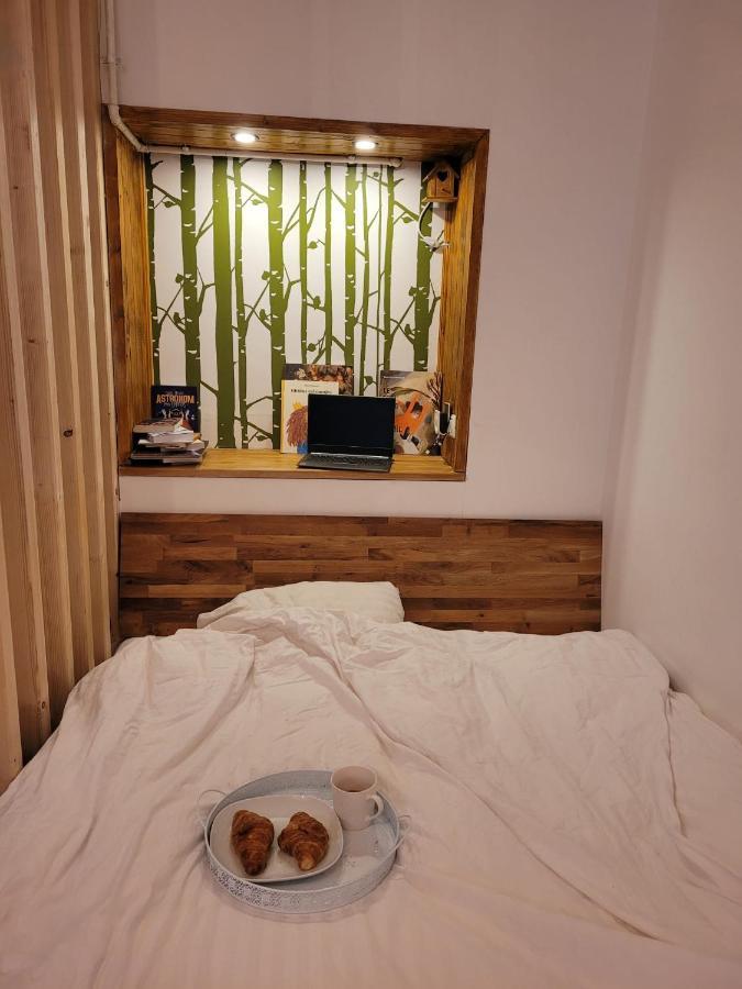 Bubbles Studio Sinaia With Terrace Buitenkant foto